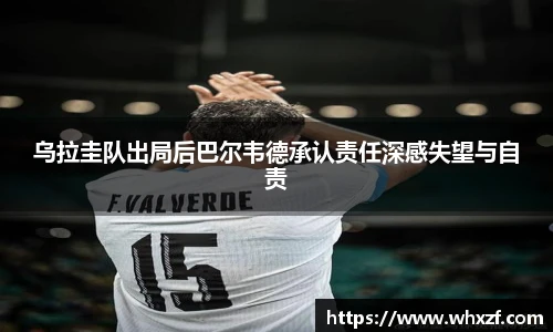 yy体育直播在线观看