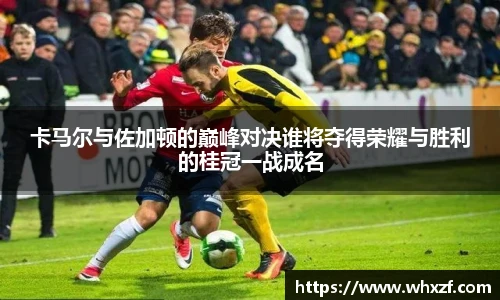 yy体育官网