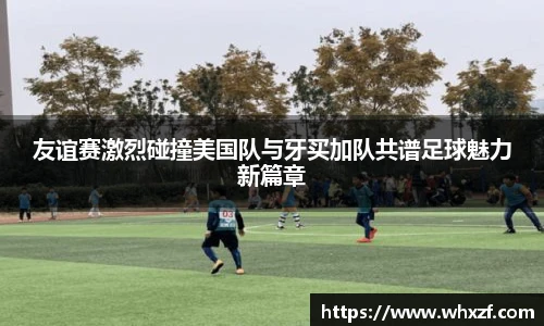 yy体育直播在线观看